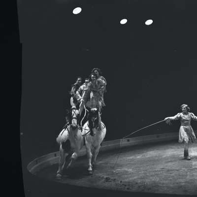 Circus, acrobats on horses in circus ring