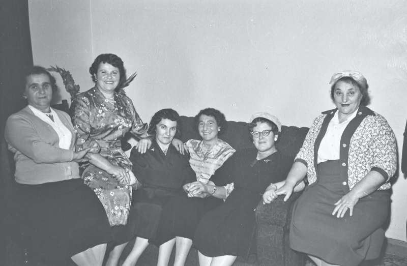 Portrait of a large group of women