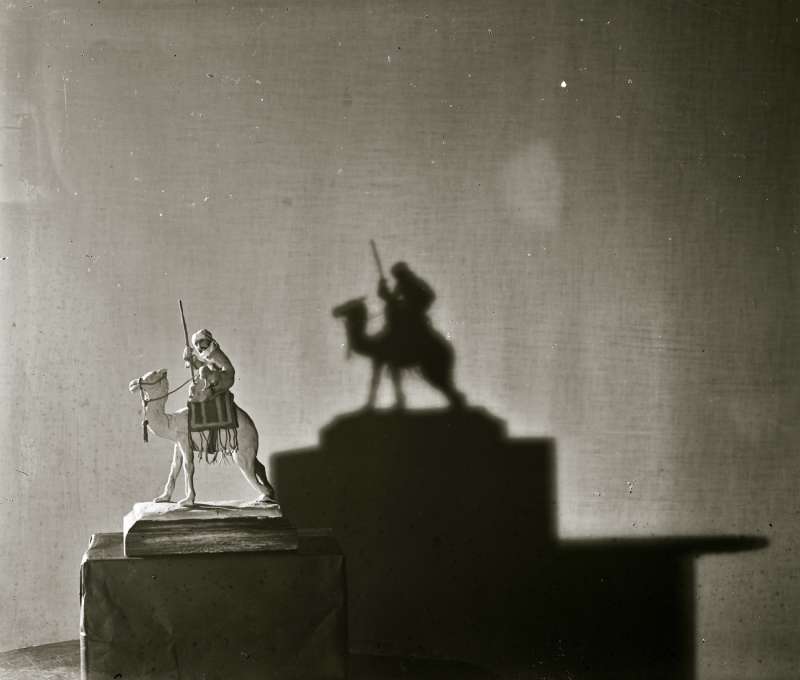 Photograph of a camel model
