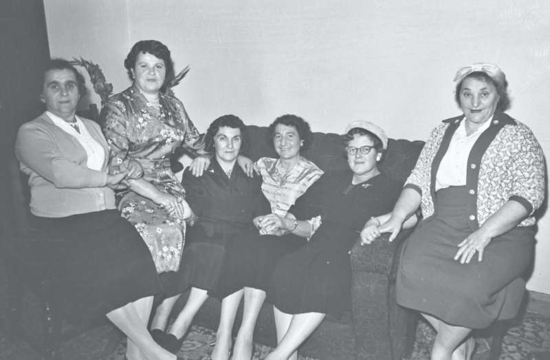 Portrait of a large group of women